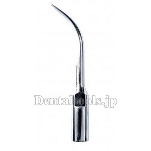 Woodpecker® GD5超音波スケーラー用チップ（DTEシリーズ/SATELECと互換、10本入）