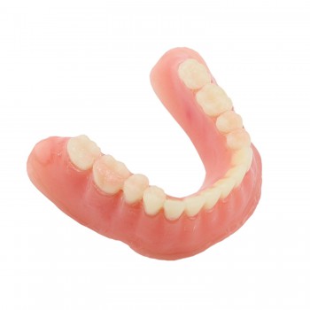 歯科下顎インプラントモデル模型 バーアタッチメント義歯模型 研究用治療説明歯列模型 クリアベース 4本インプラント
