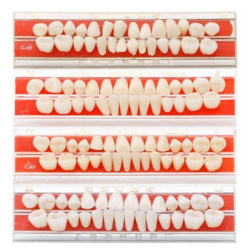 4セット24# 歯科義歯材料合金ピン陶磁色シェードガイド