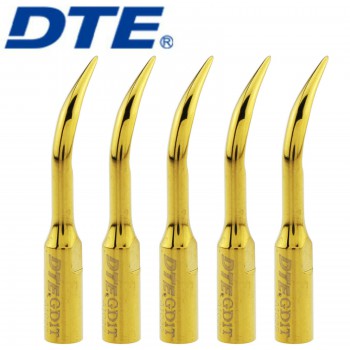 10Pcs Woodpecker DTE GD1T 超音波スケーラーチップ スケーリング用チップ Satelecと互換性あり