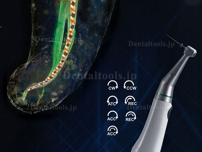 Denjoy Ai-Mate歯科用ミニブ根管治療器 根管モーター 根管長測定機能付き