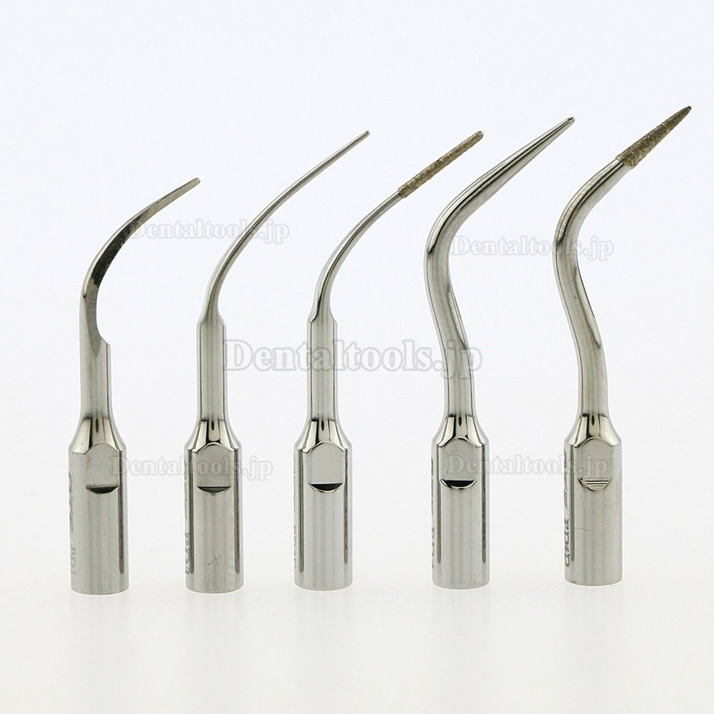 10Pcs Woodpecker DTE 歯科用超音波スケーラー用チップ NSK Satelecと互換性あり
