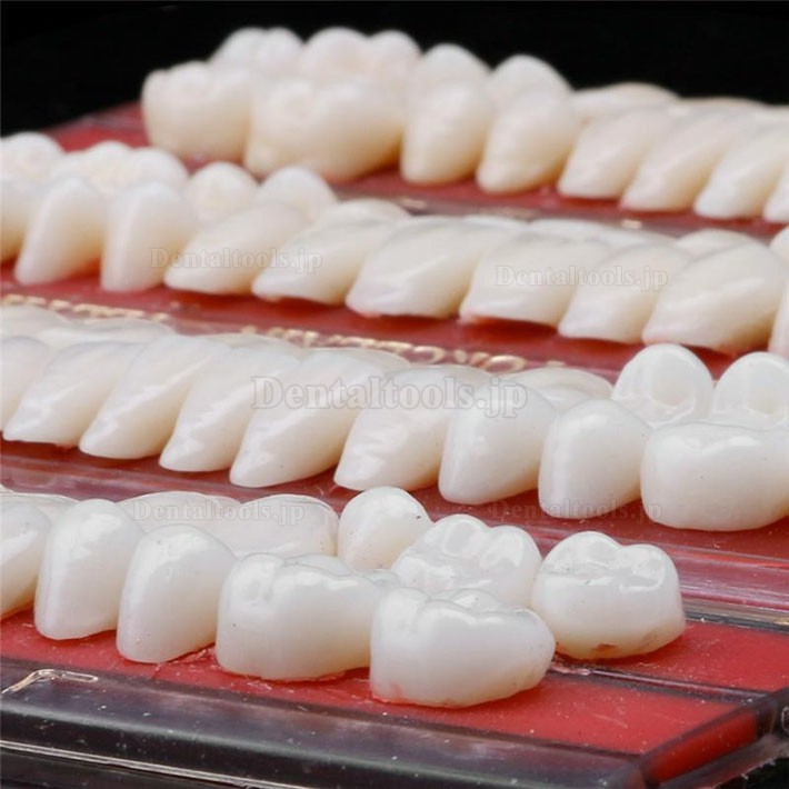 4セット24# 歯科義歯材料合金ピン陶磁色シェードガイド
