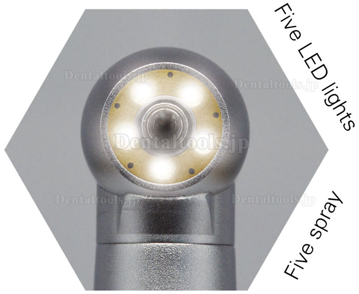 Westcode® 歯科用タービンハンドピース LEDライト付き(5個LED電球、スタンダードヘッド)